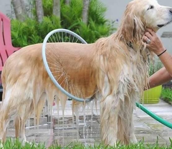 Hoạt động hỗ trợ khởi nghiệp đổi mới sáng tạo tại khu vực miền Trung