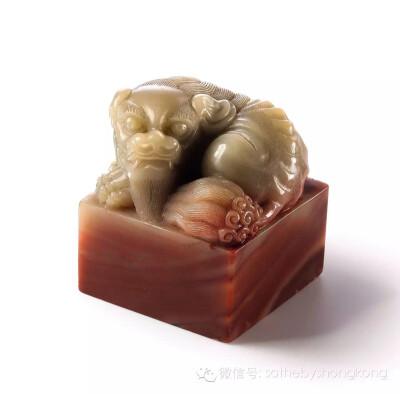 Hoạt động thể thao thường xuyên giúp giảm thiểu bệnh mãn tính