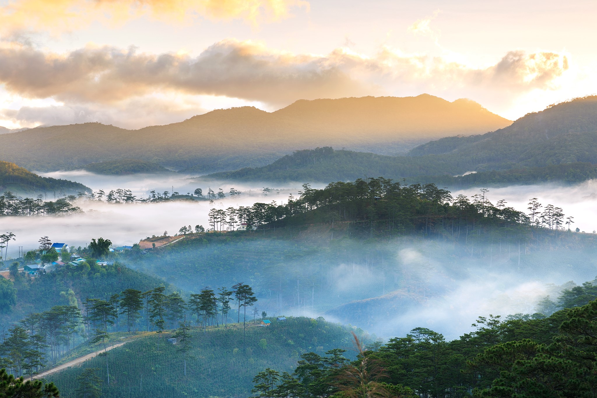 Bidoup-Nui-Ba-National-Park-1