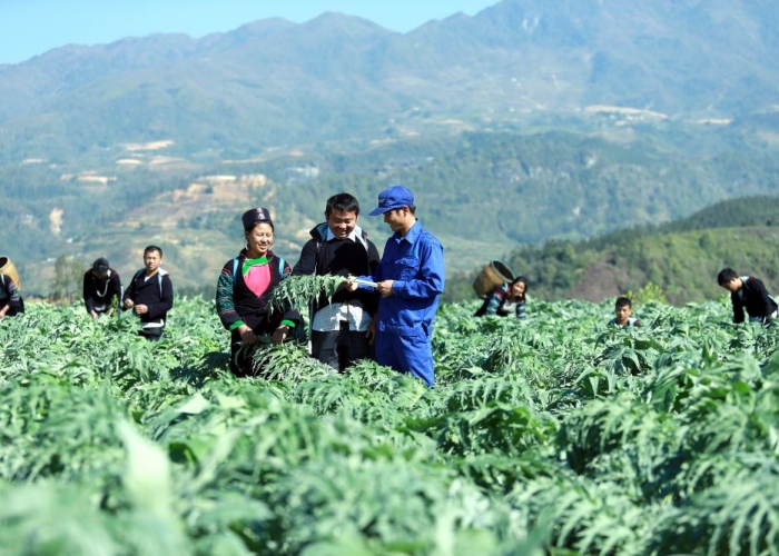 Chất lượng không phải là sản phẩm cuối cùng <br> mà là “Quá trình cải tiến liên tục”