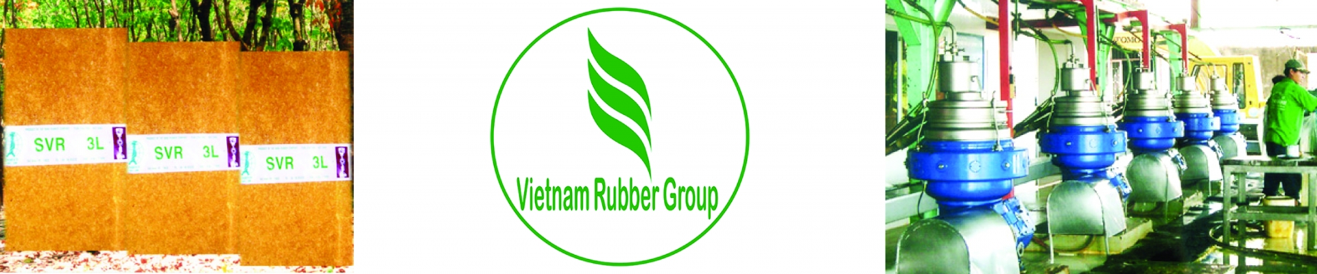 Công ty Cổ phần Cao su Tây Ninh