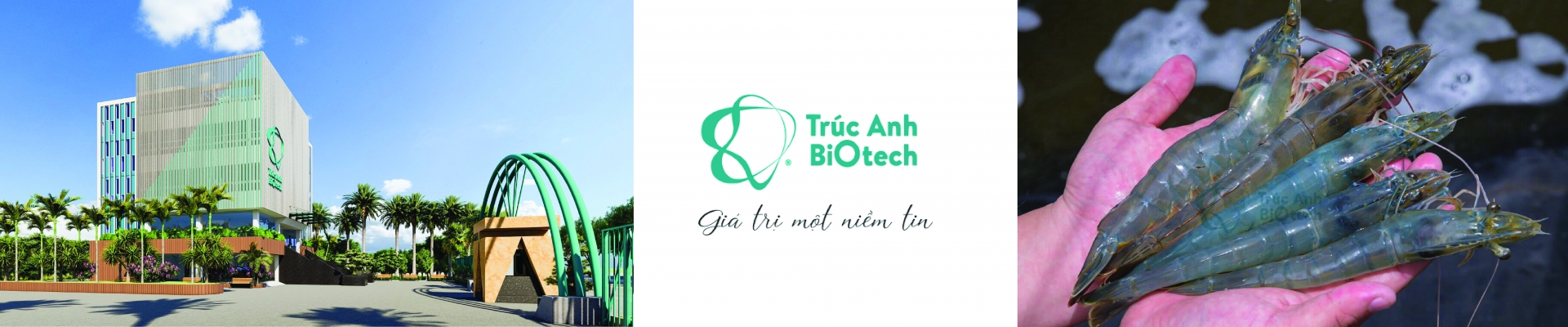 Công ty TNHH Sản xuất và Thương mại Trúc Anh