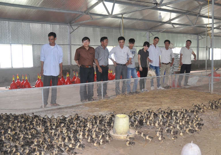 An toàn sinh học và sử dụng thận trọng thuốc kháng sinh trong J881 tải ứng 