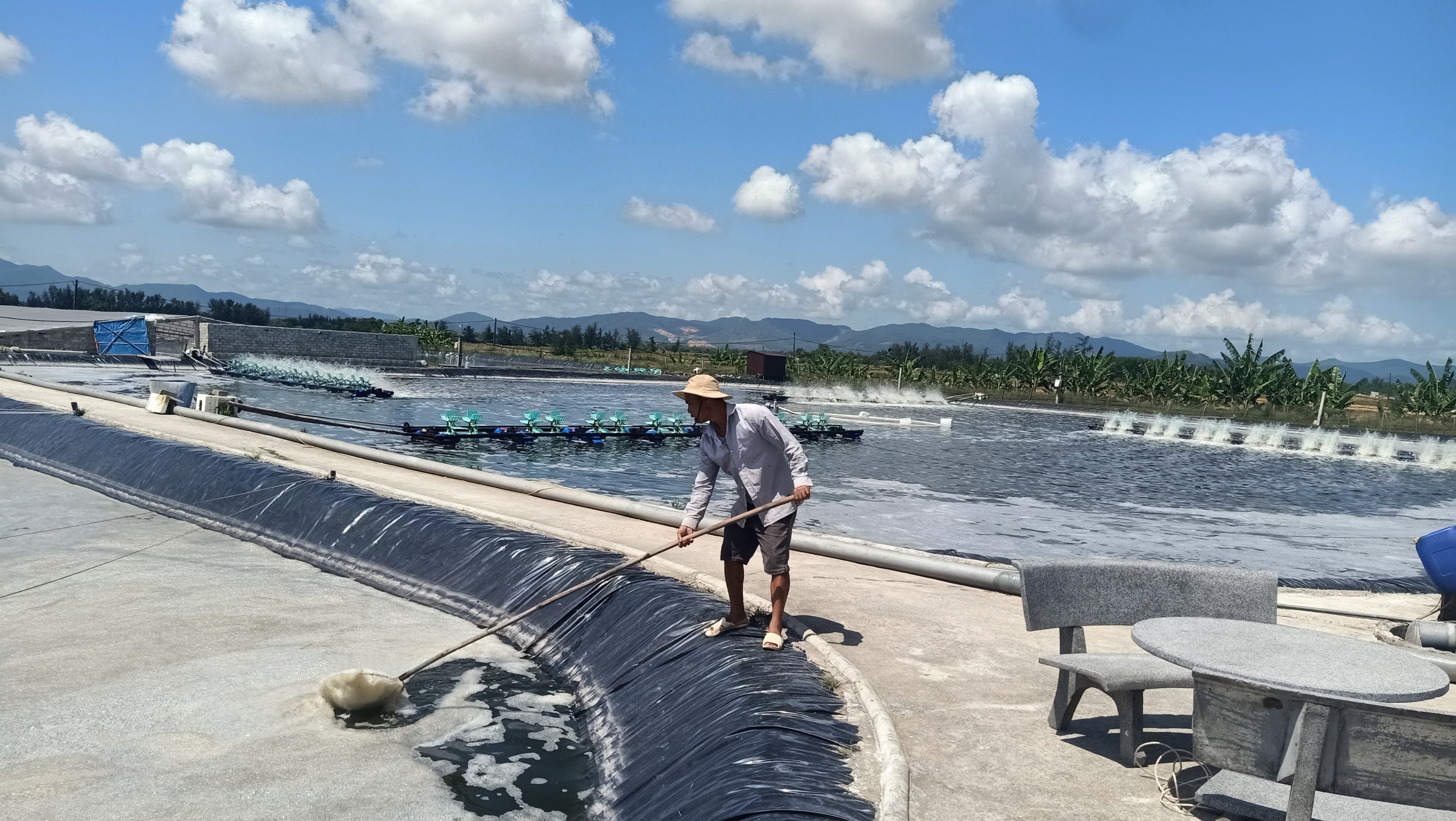 Mô hình nuôi tôm hiệu quả ứng phó mùa 8J88 Đăng ký trang chủ