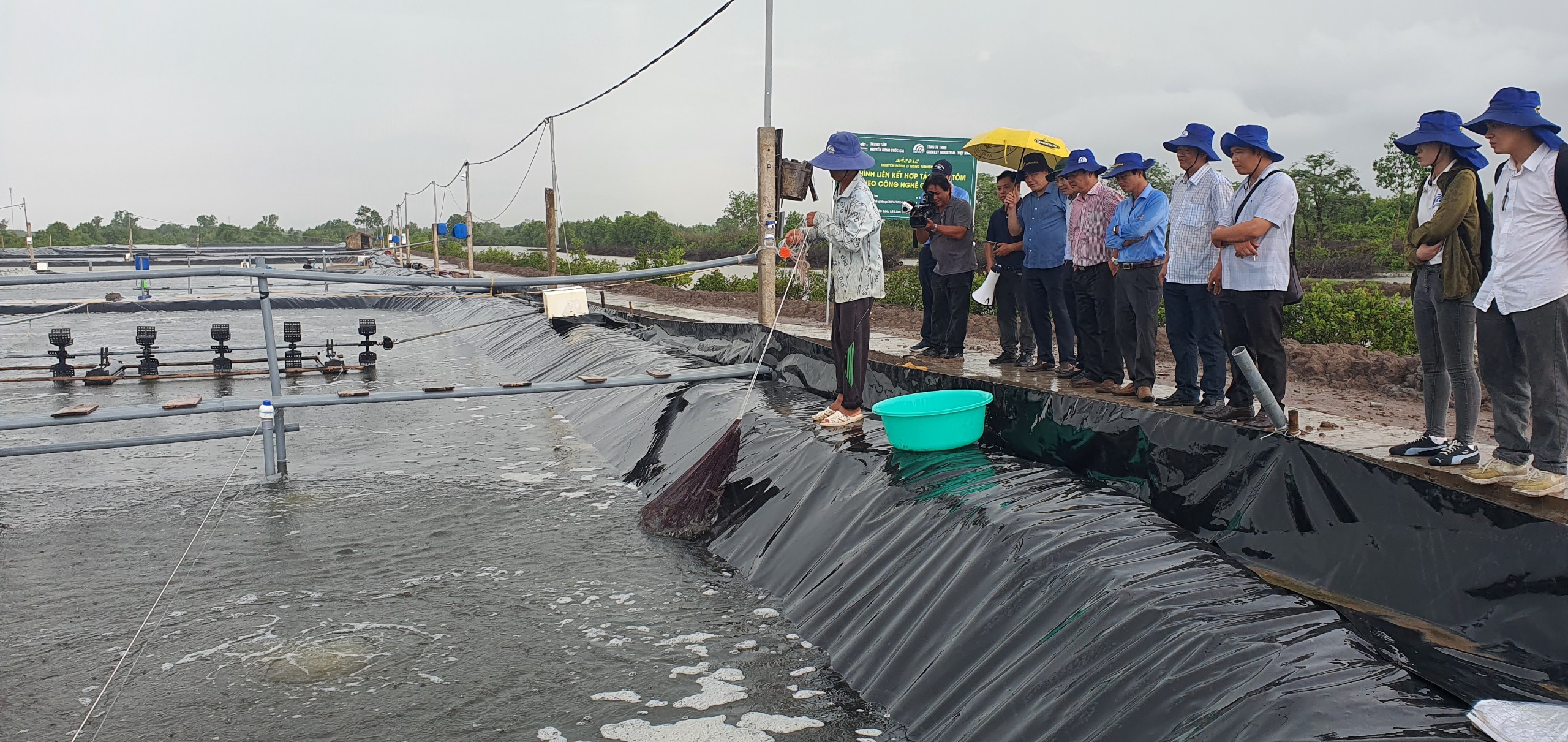 Phát triển nuôi tôm bền vững, giảm phát thải, thích ứng với biến đổi J88 là nhà cái uy tín hàng đầu thuộc tập đoàn ABCVIP vùng ĐBSCL