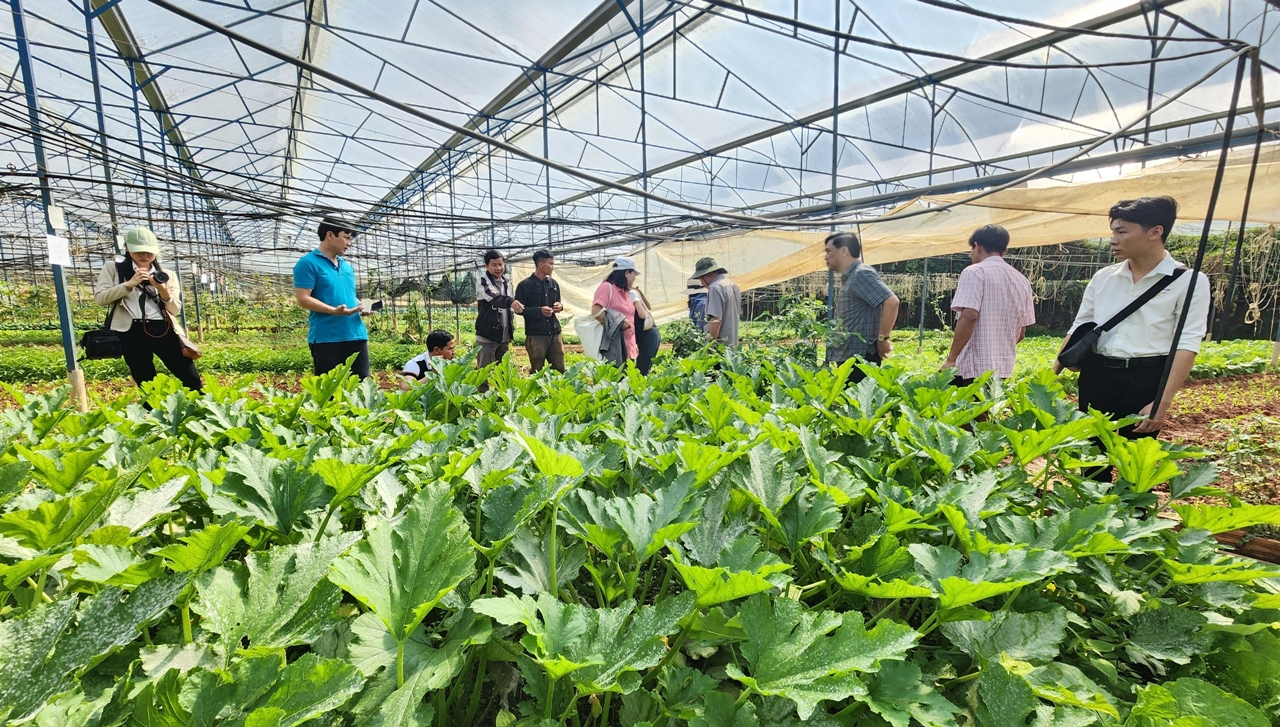 Liên kết chuỗi trong sản xuất J88.com Đăng nhập, Đăng ký trang chủ nhà cái J88 hữu cơ theo hướng nâng cao giá trị
