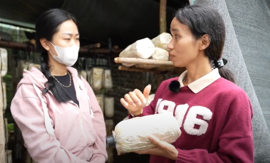 Cách tiếp cận và tổ chức Đăng ký nhận khuyến mãi  các mô hình sinh kế bền vững cho nông hộ nhỏ vùng núi