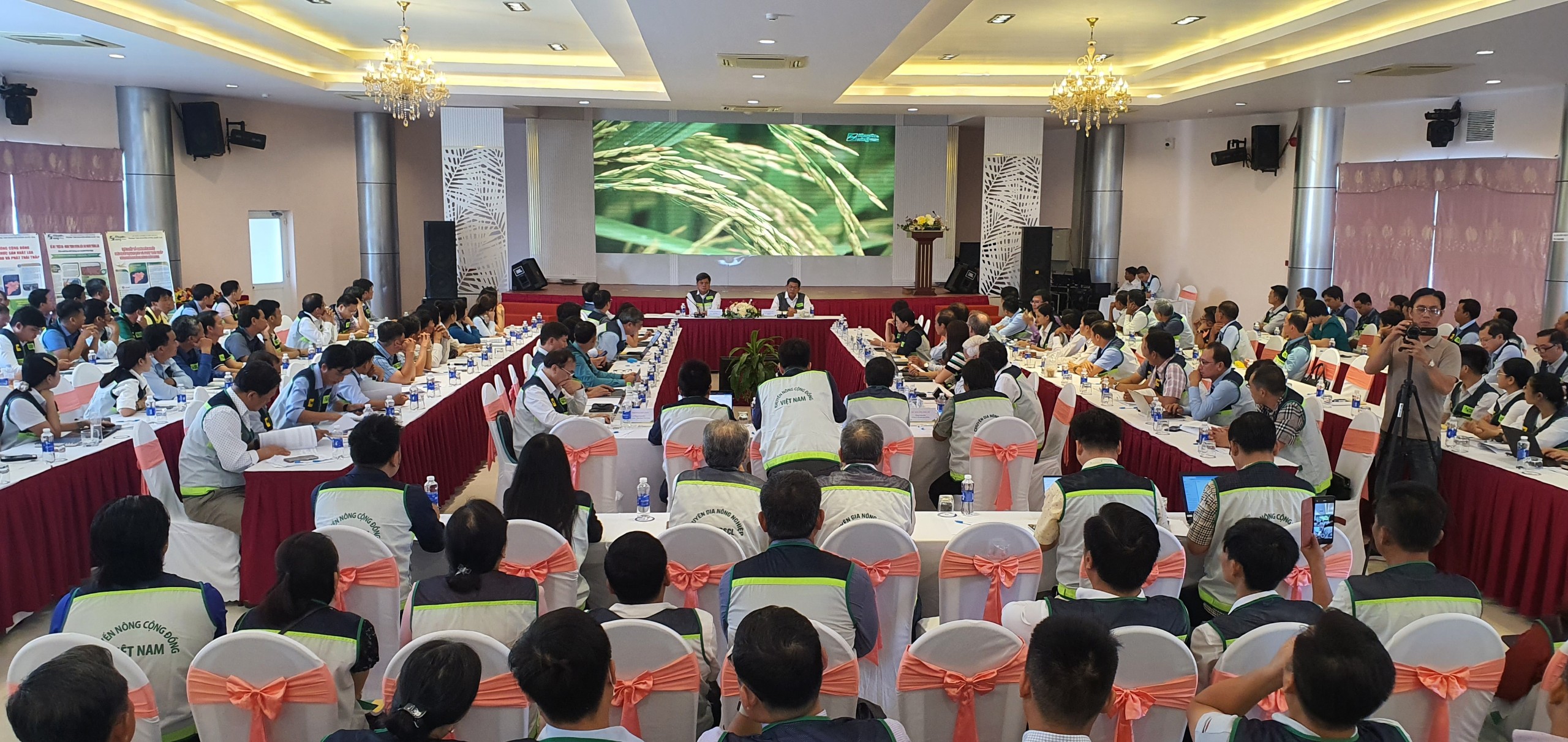 Phát huy vai trò của lực lượng KNCĐ trong thực hiện đề án 1 triệu ha và J88 là nhà cái uy tín hàng đầu thuộc tập đoàn ABCVIP 2 cấp tại ĐBSCL