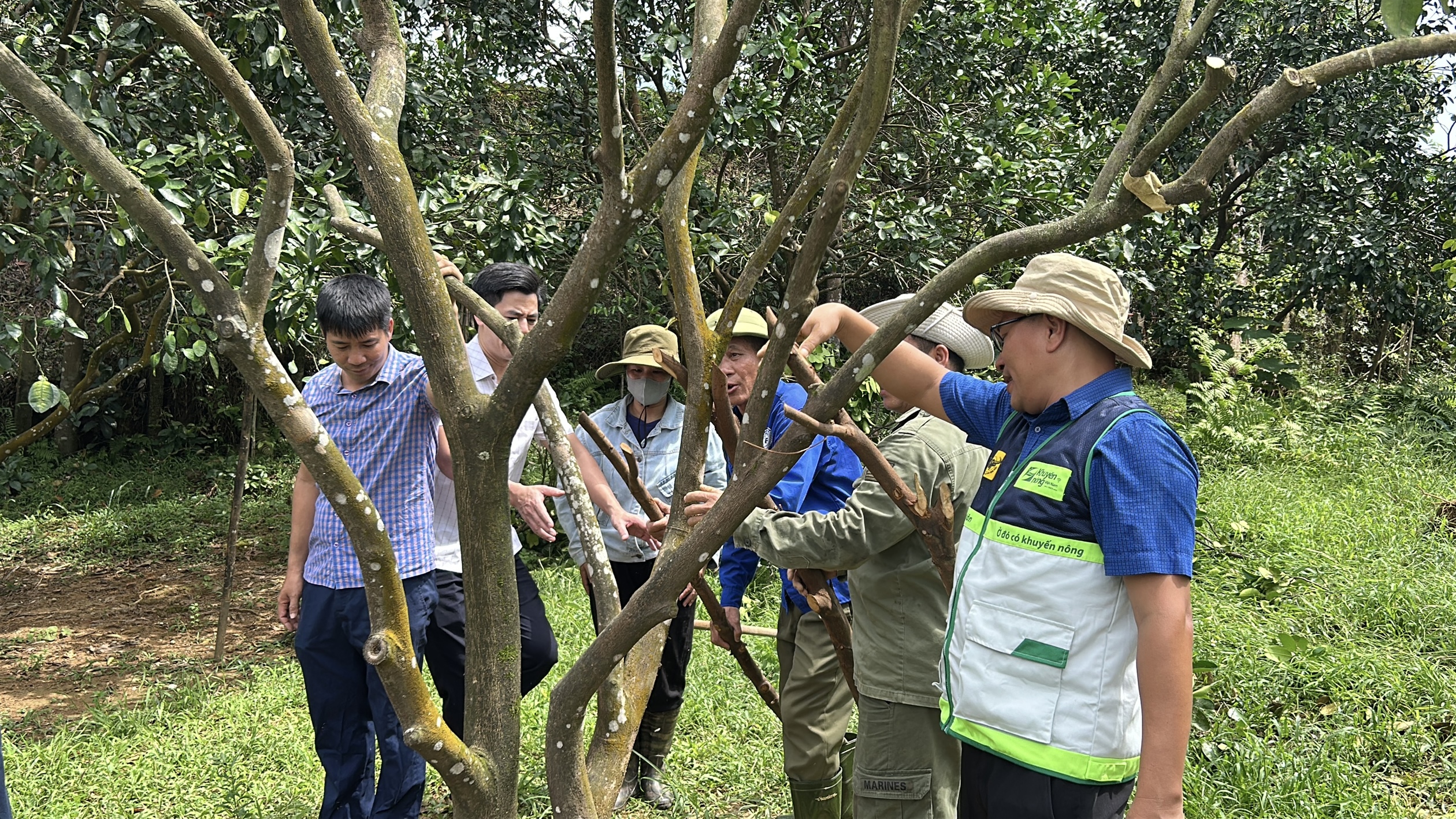 J88.com Đăng nhập, Đăng ký trang chủ nhà cái J88 Hà Tĩnh chủ động vượt khó khắc phục sau bão số 10