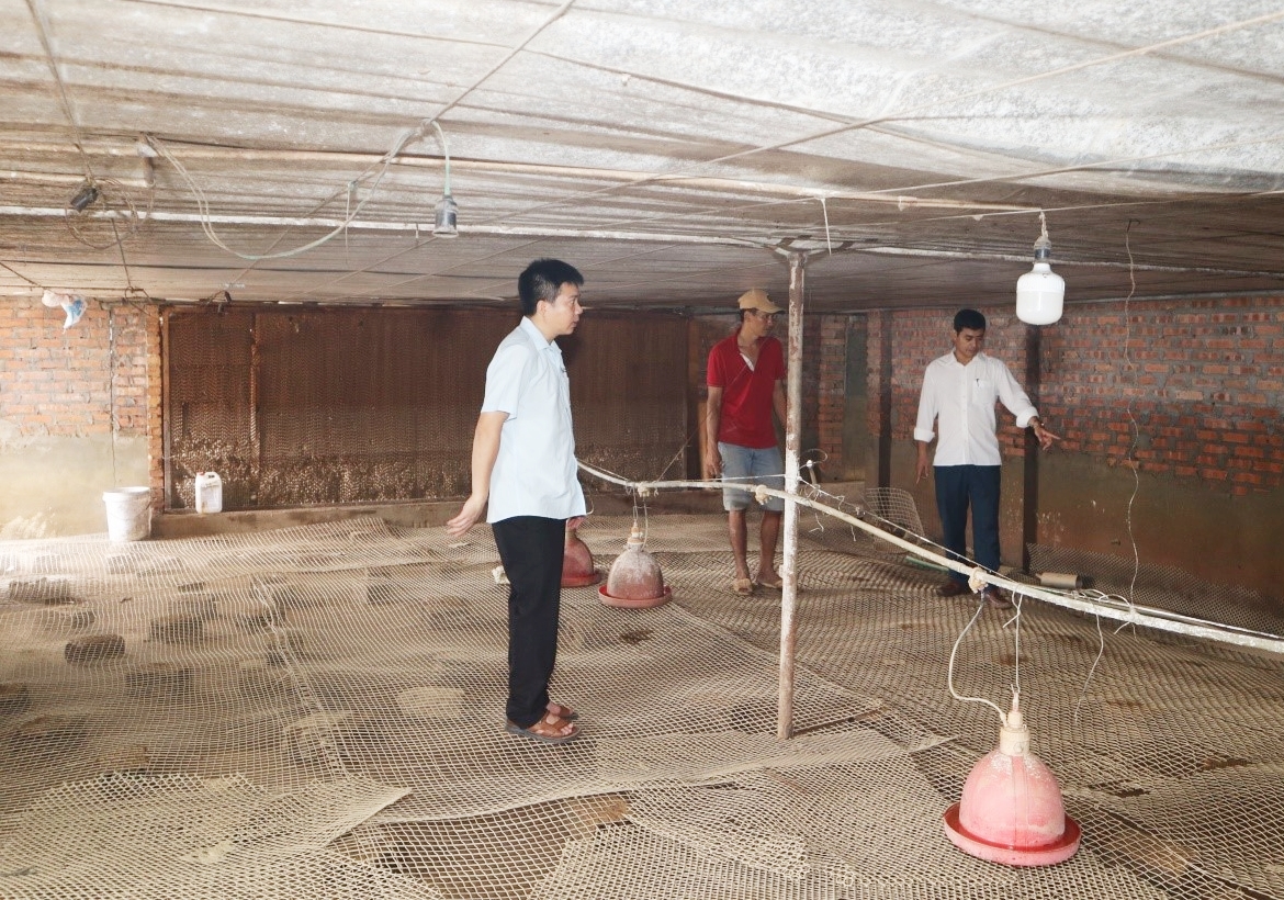 Hướng dẫn biện pháp cấp bách khôi phục đàn gia cầm sau 8J88 Đăng ký trang chủ