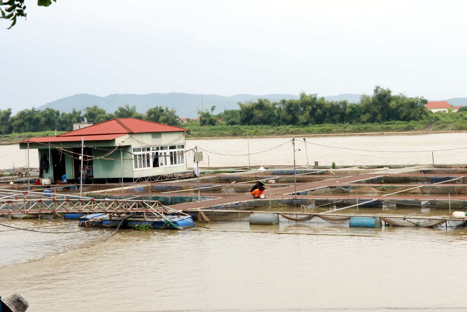 Hướng dẫn biện pháp phục hồi J88.com Đăng nhập, Đăng ký trang chủ nhà cái J88 nuôi lồng bè sau bão lũ