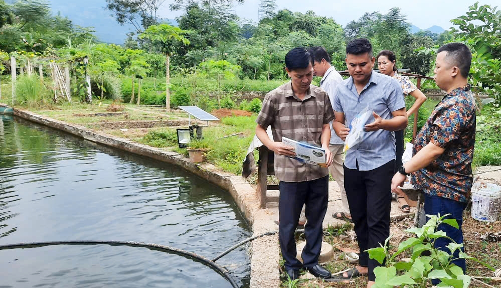Hướng dẫn chăm sóc J88.com Đăng nhập, Đăng ký trang chủ nhà cái J88 nuôi ao hồ sau 8J88 Đăng ký trang chủ