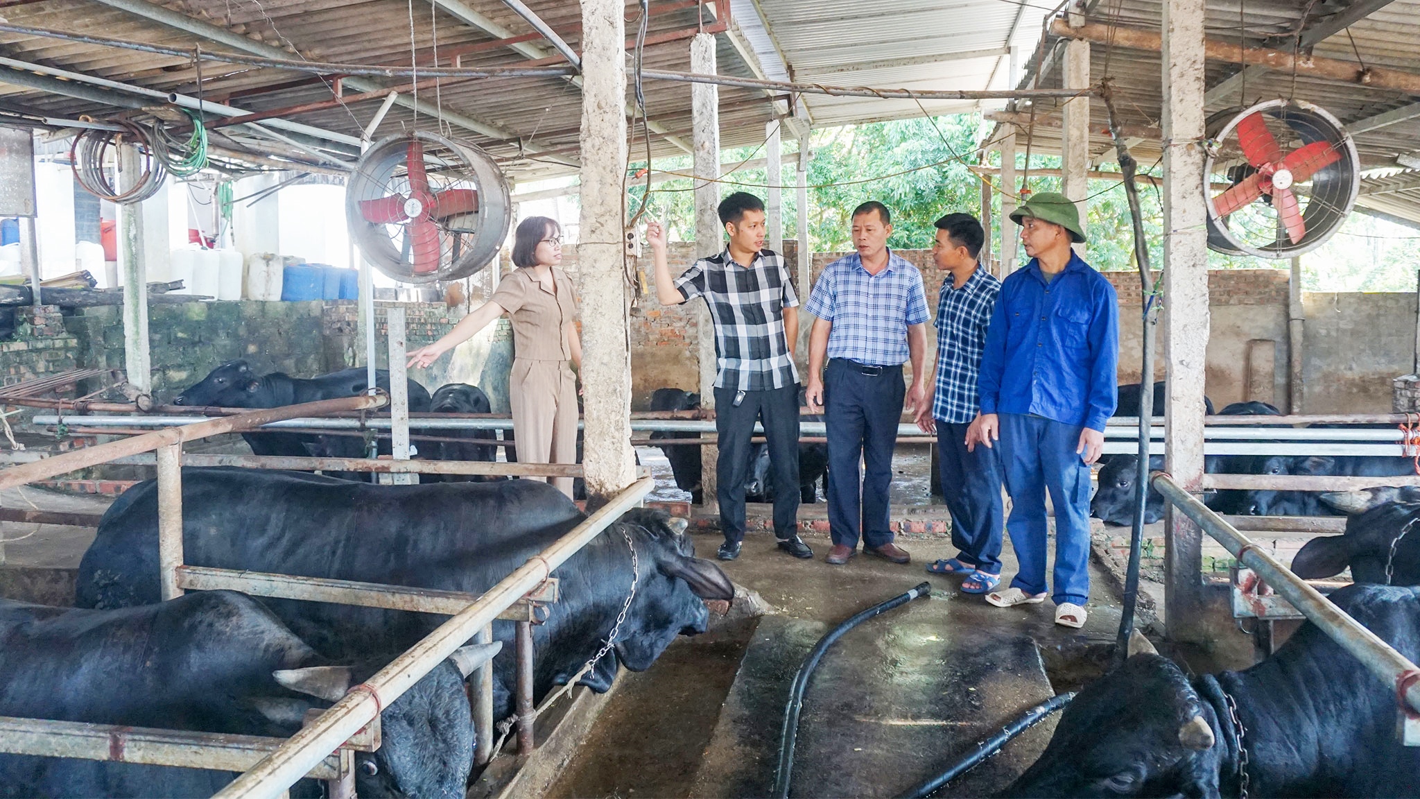 Hướng dẫn công tác đảm bảo an toàn và phát triển đàn gia súc sau 8J88 Đăng ký trang chủ