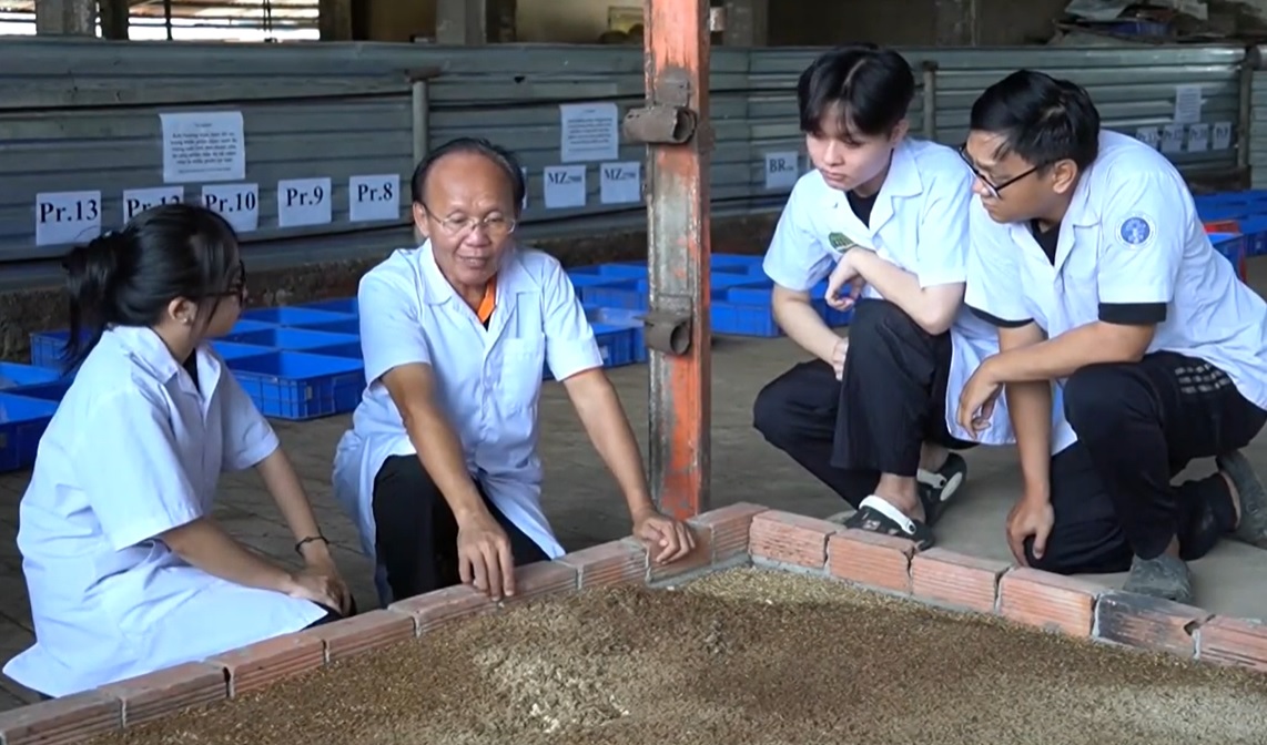 Hướng dẫn nuôi ruồi lính đen bằng phế phụ phẩm J88.com Đăng nhập, Đăng ký trang chủ nhà cái J88 và chất thải J881 tải ứng 