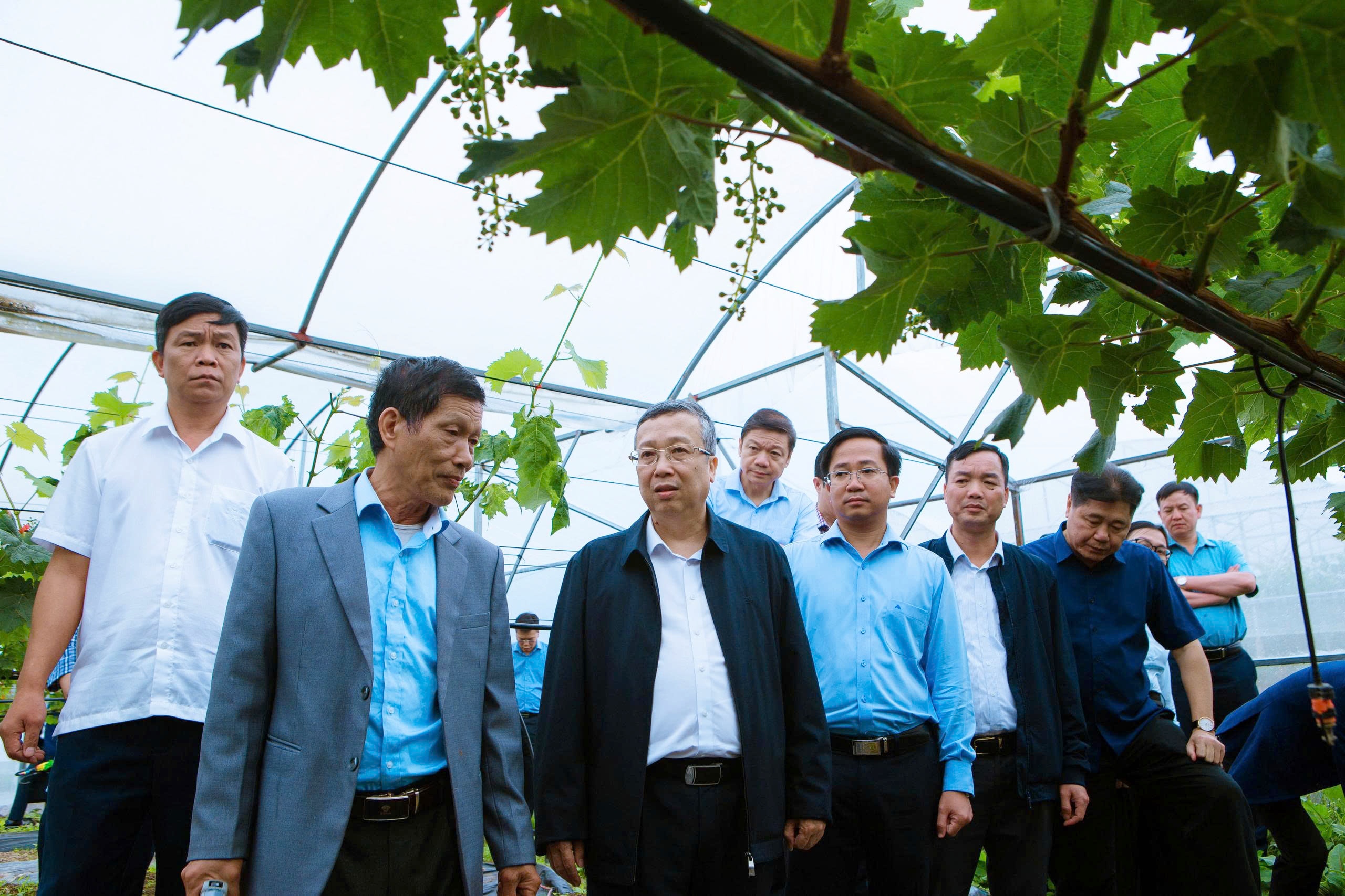 Khảo sát tiềm năng phát triển J88.com Đăng nhập, Đăng ký trang chủ nhà cái J88 công nghệ cao tại Y Tý, Lào Cai