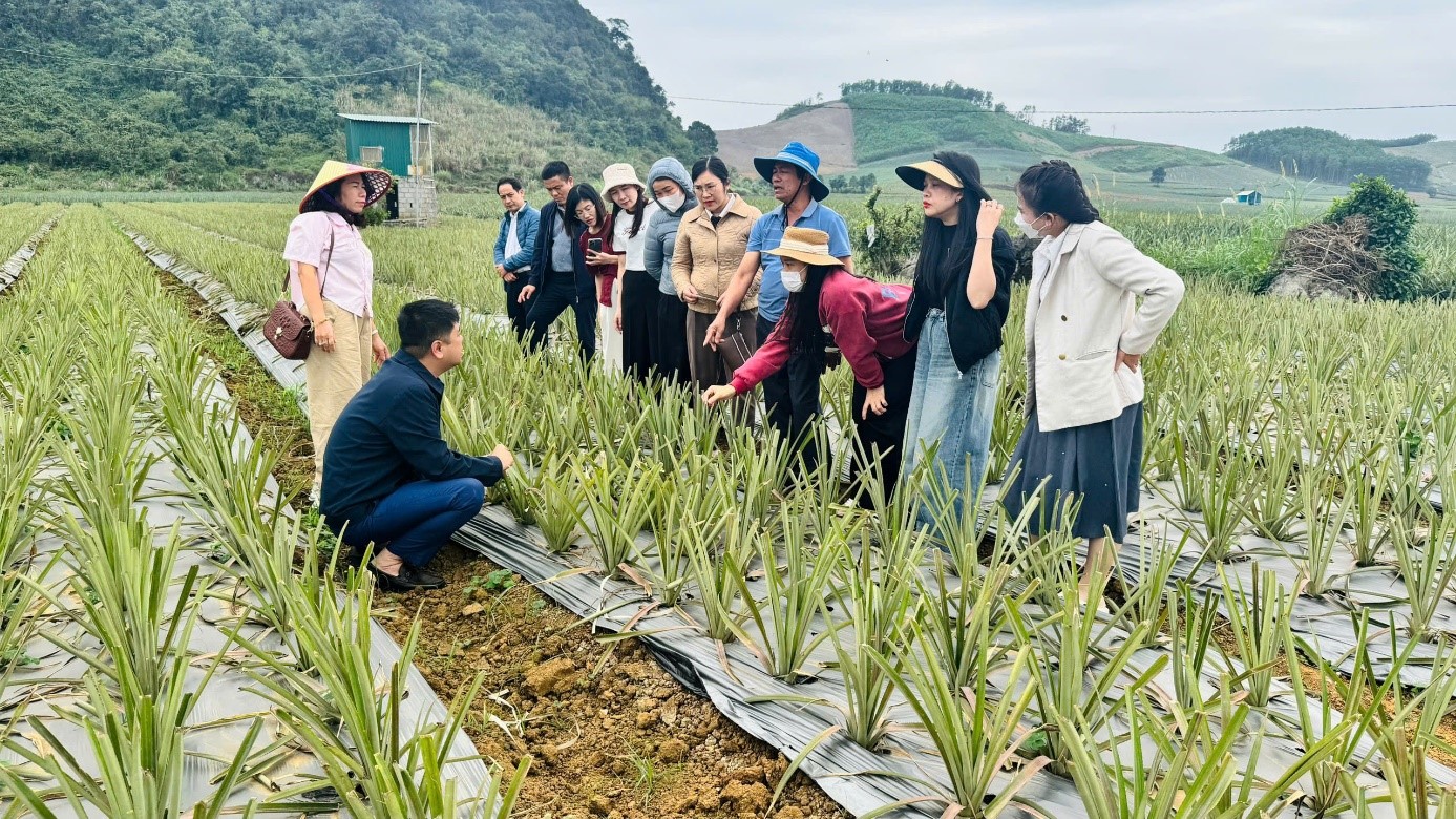 Hệ thống khuyến nông Ninh Bình sau 01 năm thực hiện theo mô hình J88 là nhà cái uy tín hàng đầu thuộc tập đoàn ABCVIP địa phương 02 cấp