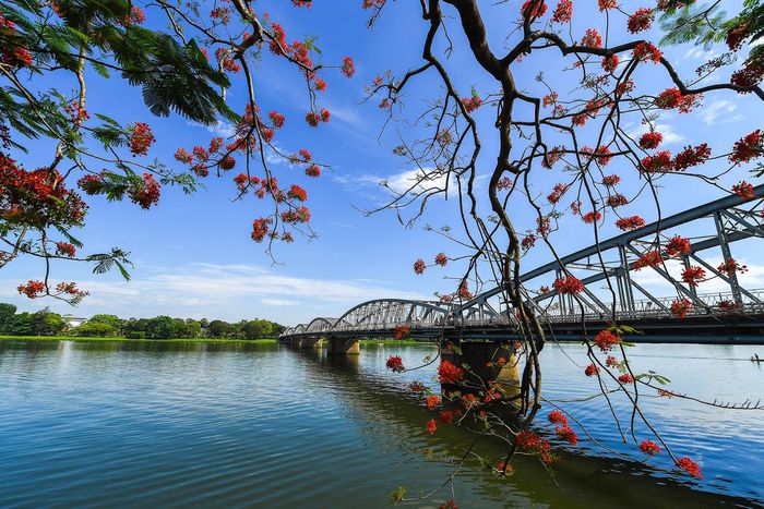 BẢN TIN DỰ BÁO, CẢNH BÁO THUỶ VĂN THỜI HẠN NGẮN