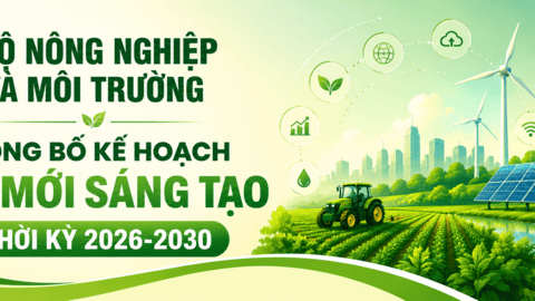 [Infographic] J88 - Trang Chủ JJ88 Casino & Thể Thao Link Mới công bố kế hoạch đổi mới sáng tạo thời kỳ 2026-2030