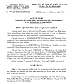 Picture11