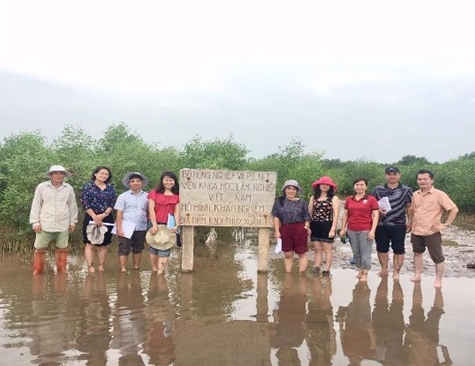 Thay ảnh Đề tài Bần