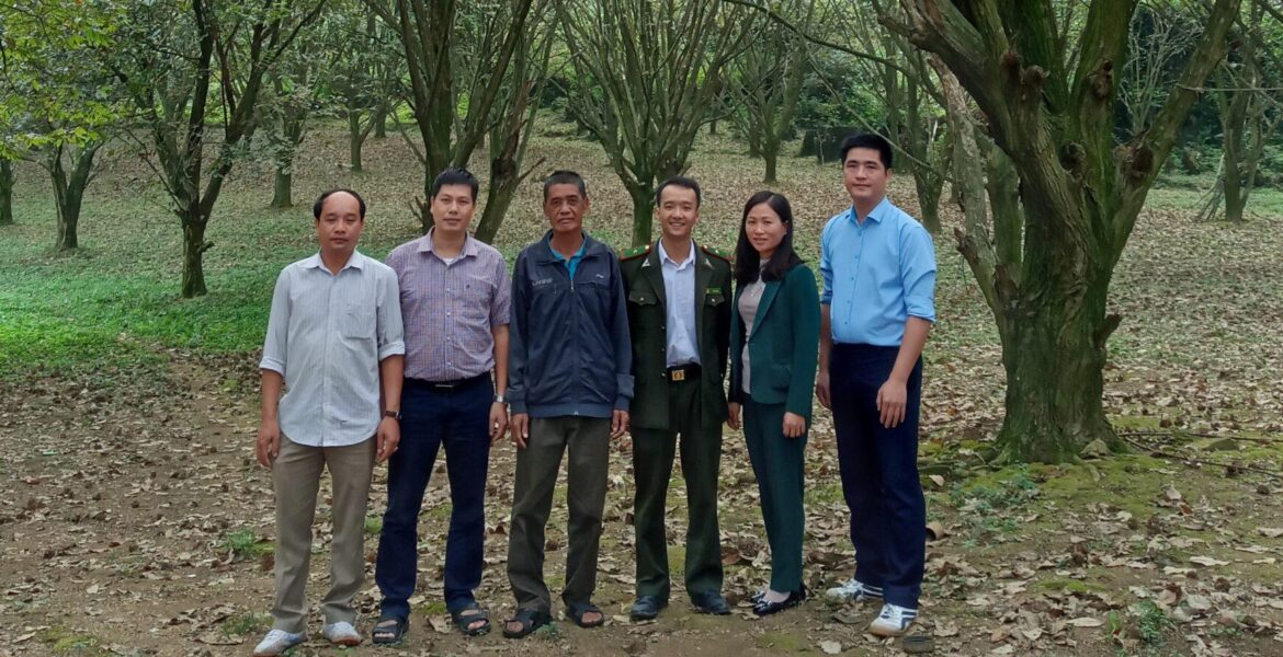 3.1 ảnh dẻ ván JJ88 Casino online, Thể thao, Xổ số, Bắn cá, Đá gà, Nổ hũ cây trội Dẻ ván tại Trùng Khánh.1