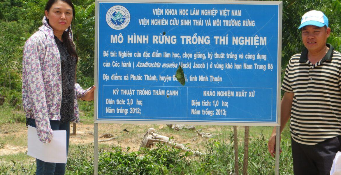 cóc hành