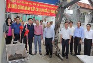Thực hiện cơ chế hỗ trợ xi măng làm đường giao thông: Phường Đằng Hải (quận Hải An) tập trung cải tạo, nâng cấp ngõ xuống cấp