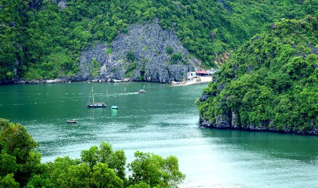 UBND thành phố chỉ đạo xử lý phản ánh của khách du lịch về chất lượng dịch vụ du lịch