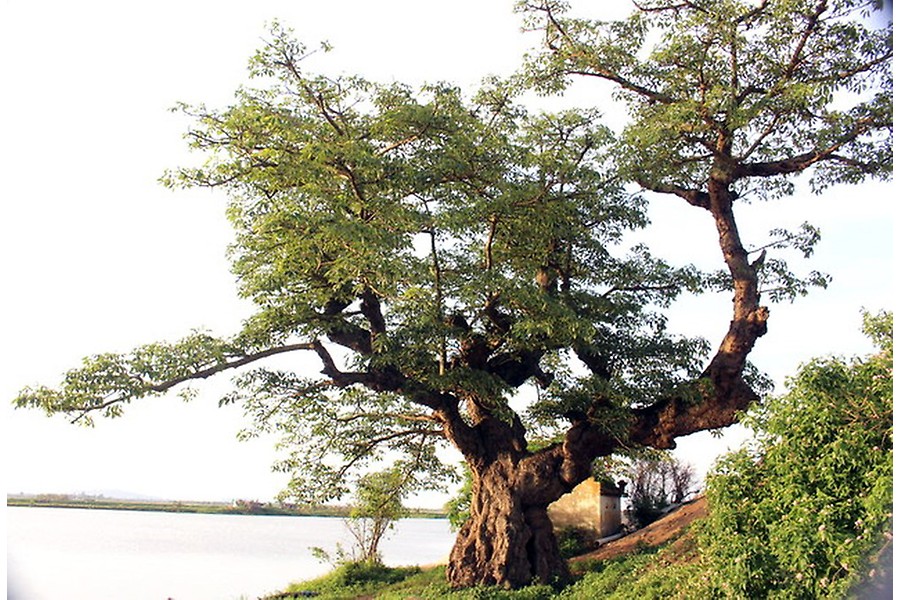 Du lịch tâm linh ven sông Văn Úc
