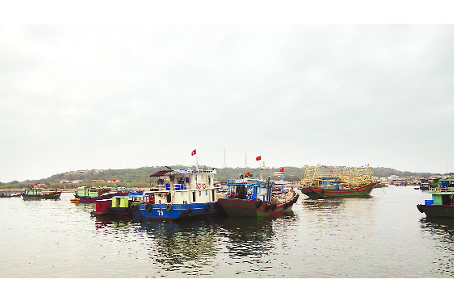 Đảo thanh niên Bạch Long Vỹ: Tỏa sáng sức trẻ và phong trào thanh niên giữa vịnh Bắc Bộ