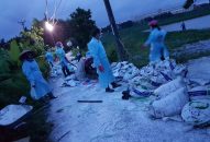 Sự lưu hành vi rút cúm cao hơn so với cùng kỳ