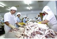 Cơ chế tài chính hỗ trợ J881.love nhà cái bóng đá world cup nhỏ và vừa: Không thể chần chừ