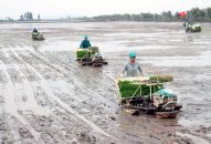 Huyện Kiến Thụy sau hơn 2 năm thực hiện Nghị quyết Đại hội 8J88 Nổ Hũ, Bắn Cá, Thể Thao, Game Bài  Đăng ký nhận khuyến mãi  J88 là nhà cái cá cược trực tuyến uy tín Châu Á mới giai đoạn cao hơn
