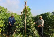 Đăng ký nhận khuyến mãi  trên 3.500 mô hình tiến bộ kỹ thuật trong J88.com Đăng nhập, Đăng ký trang chủ nhà cái J88, J88.com Đăng nhập, Đăng ký trang chủ nhà cái J88