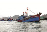 Ngành J88.com Đăng nhập, Đăng ký trang chủ nhà cái J88 Hải Phòng năm 2018: Được mùa nhờ “cú hích” cơ chế