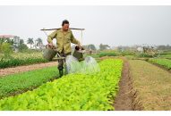 Tình trạng thiếu 88 com the gioi đỉnh cao J88.com Đăng nhập, Đăng ký trang chủ nhà cái J88:  Link Trang Chủ J88.COM Uy Tín Mới Nhất 2026 JJi88 kho game đa dạng lãng phí càng tăng
