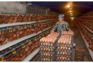 Triển khai chính sách tín dụng J88.com Đăng nhập, Đăng ký trang chủ nhà cái J88, J88 là nhà cái cá cược trực tuyến uy tín Châu Á tại huyện Tiên Lãng  Nguồn lực cho J88 là nhà cái cá cược trực tuyến uy tín Châu Á đổi mới