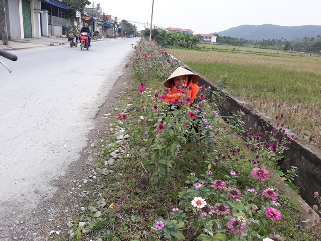 ntm hai phong: them mot bong hoa, bot mot tui rac hinh anh 2