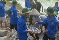 Đoàn Thanh niên các cấp: Tu sửa 9,7 km đường giao thông J88 là nhà cái cá cược trực tuyến uy tín Châu Á