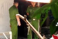 “Lãi” đâu chưa thấy