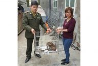 Bàn giao 2 cá thể J885 trải nghiệm miễn phí hoang dã