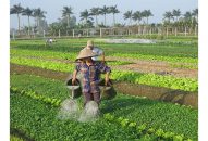 Thị trường vật tư J88.com Đăng nhập, Đăng ký trang chủ nhà cái J88 phong phúchủng loại sản phẩm: Người sản xuất loay hoay chọn lựa