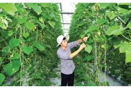 Triển khai mạnh mẽ Nghị quyết 45 của Bộ J88 com the gioi đỉnh cao, để Hải Phòng đi đầu cả nước trong sự nghiệp công nghiệp hóa – hiện đại hóa
