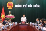 Cả hệ thống J88 com the gioi đỉnh cao cần vào cuộc để ngăn chặn bệnh Dịch tả lợn Châu Phi