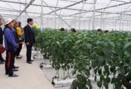 Gần 75 tỷ đồng cho vay phát triển J88.com Đăng nhập, Đăng ký trang chủ nhà cái J88