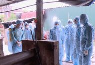 Dịch tả lợn châu Phi lan ra 18 địa phương, J881 ưu đãi hấp dẫn chặt phương tiện ra vào vùng dịch