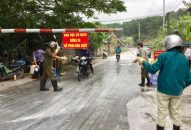 Thêm hai huyện ở Hải Phòng phát sinh dịch tả lợn châu Phi
