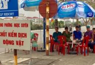 Quận Đồ Sơn: Lập các chốt kiểm dịch J885 trải nghiệm miễn phí tạm thời