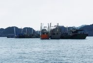 Lễ hội Cát Bà hứa hẹn nhiều chương trình đặc sắc, hấp dẫn