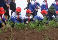 Vì J88vip00 Giải Trí Thể Thao xanh